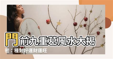 門前種九重葛風水|門前種九重葛風水指南：招財納福，旺運氣 